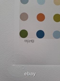 Damien Hirst Signed Opium Collectable Lithograph