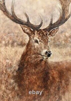 GARY BENFIELD Born (1965) LIMITED EDITION PRINT'NOBLE' PRINT Of Stag 20/195