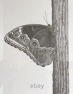 Gary Hodges Signed Limited Edition -Blue Morpho Butterfly 250/450 Framed