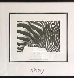 Gary Hodges Signed Limited Edition -Tender Moments 64/995 Zebra & Foal Framed