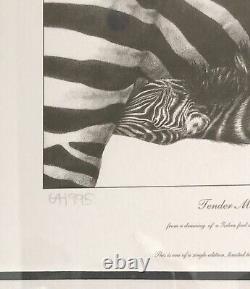 Gary Hodges Signed Limited Edition -Tender Moments 64/995 Zebra & Foal Framed