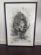 Hua Tunan Limited Edition Rhino Print (rare Print)