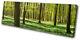 Landscapes Forest Single Canvas Wall Art Picture Print Va