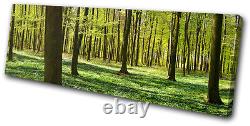 Landscapes Forest SINGLE CANVAS WALL ART Picture Print VA
