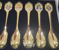 Limited Edition One Piece Coco Ichibanya Collaboration Spoon