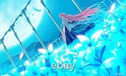 Nintendo Switch TSUKIHIME A piece of blue glass moon First Limited Edition F/S