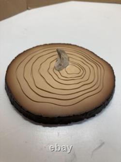 One Piece Portrait. Of. Pirates LIMITED EDITION CARROT Figure EX from Japan