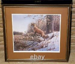 Owen Gromme Expectation Red Fox 18 x 22.5 Signed Print 524/580 Framed
