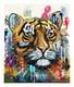 Tiger Art Limited Edition Print Maximus Colourful Animal Art 70 Edition