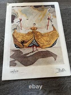13 X Pièces d'art en édition limitée signées en fac-similé par Salvador Dali