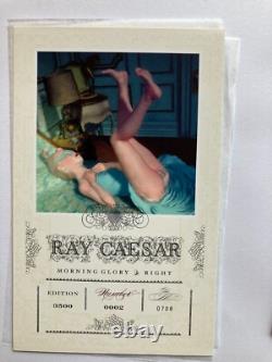 Collection d'art en édition limitée Ray Caesar #392/500 en état neuf
