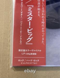 Édition Limitée Mr. Big Lp 1000 Pièces Vinyle