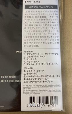 Édition Limitée Mr. Big Lp 1000 Pièces Vinyle