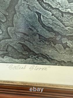 Édition limitée originale signée par John Cunningham 1/30 Silent Storm encadrée