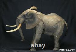 F KAIYODO Modèle d'éléphant africain Animal Wildlife ÉDITION LIMITÉE ŒUVRE MAÎTRESSE