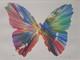 Lithographie Collectable De Papillon Signée Par Damien Hirst
