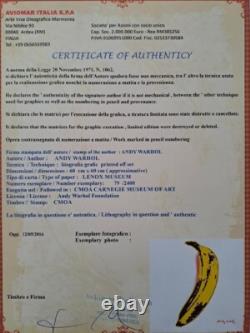 Lithographie en édition limitée signée d'Andy Warhol, banane des années 1980