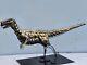 Majestic Iguanodon Sculpture Limited Edition Un De Pièce Fabriquée Au Royaume-uni Nouveau