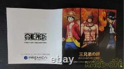 Seiko One Piece Animation 20e Édition Limitée Anniversaire 3333 Du Japon